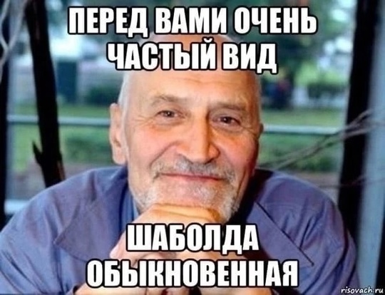 Суд признал Елену Блиновскую банкротом.  Её долг перед ФНС на момент принятия этого решения составлял — 1..