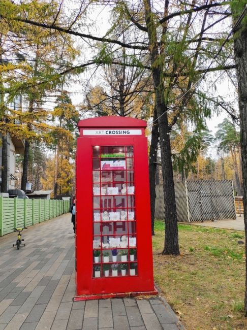 Балашиха. Когда стаял первый снег... 
📸 [id100191136|Татьяна..