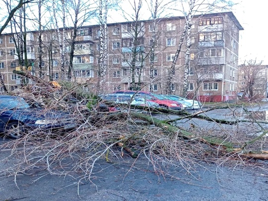 🚜 Последствия ураганного ветра в Коломне устраняют бригады ДГХ  Ураганный ветер, прошедший ночью по..