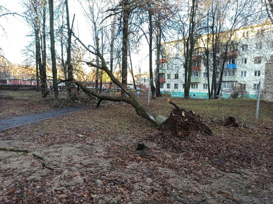 Пострадавших от урагана в Коломне и округе не зафиксировано  💨 В ночь с 21 на 22 ноября Московский регион..