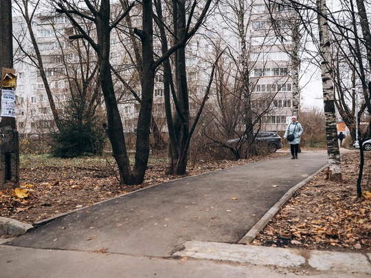 В Щелковском городском округе по просьбам жителей заасфальтировано более 140 народных троп за последние три..