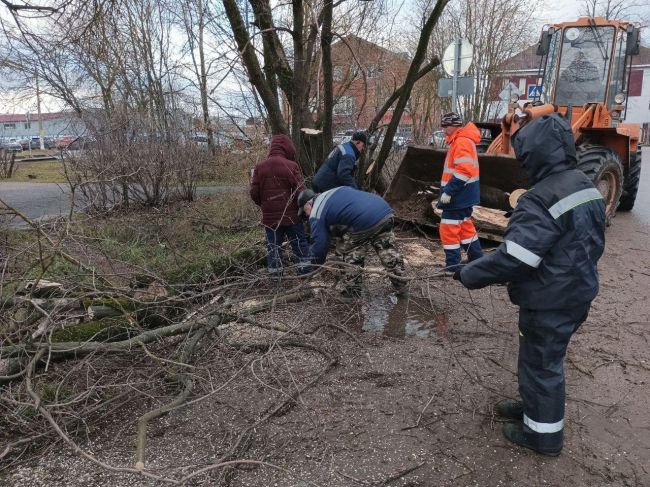 ✅ Коммунальщики Богородского округа привели дворы и улицы в порядок после стихии.  Поваленные деревья,..