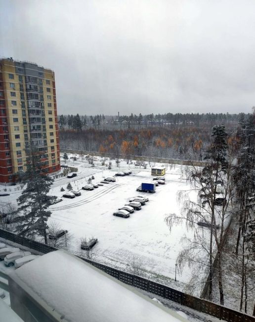 КОГДА ВЫГЛЯНУЛ УТРОМ В ОКНО 😃
Фото участников группы "Балашиха..