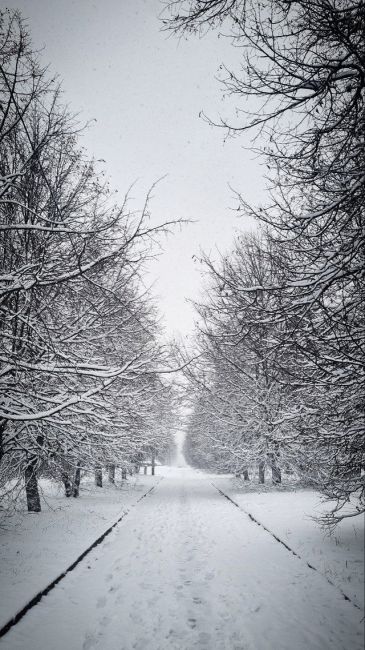 ❄Ваши великолепные снимки, сделанные на фоне снега  Для отправки фотографий используйте комментарии под..