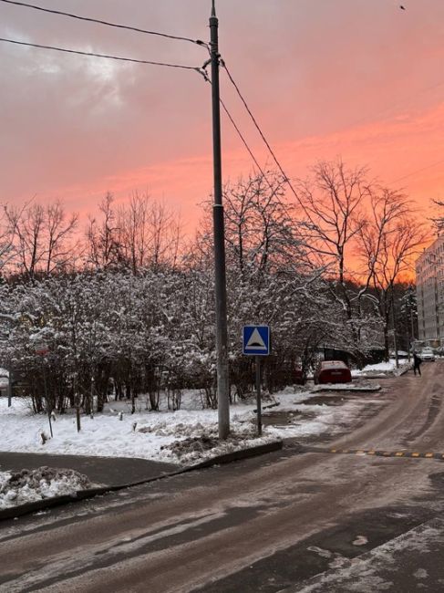 🥰Сегодня в Зеленограде было восхитительное утро.  Благодарю за фотографии! Вы..