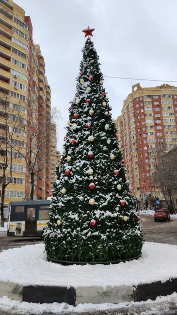 Ёлочка в парке Толстого готова..