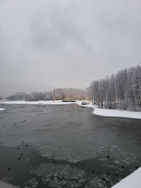 ЗИМА ВСË БЛИЖЕ ☃
📸 Оксана
Поделюсь нашей красотой. Парк..