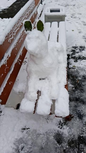 ⛄️Время лепить первых снеговичков.  Некоторые скульпторы решили подойти к вопросу очень..