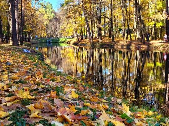 Яркая осень в парках..