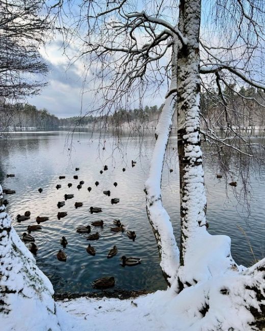 Булганинское Озеро 
📸Марина..