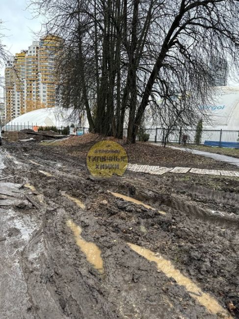 Грязевое месиво в парке Толстого со стороны ул.Кудрявцева 😱  Будет интересно к следующему лету сравнить эту..