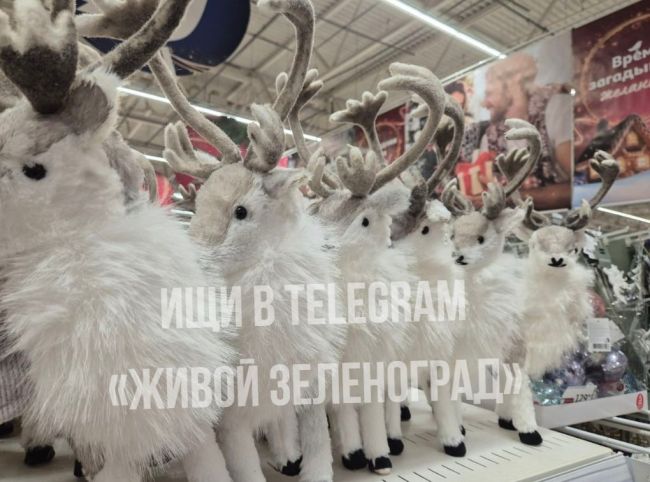 🎄В Зеленоградском «Ашане» царит новогоднее настроение.  Вы уже начали украшать свой дом к..