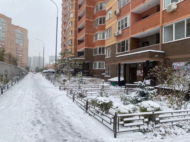 ❄ Снежное утро в Зеленых..