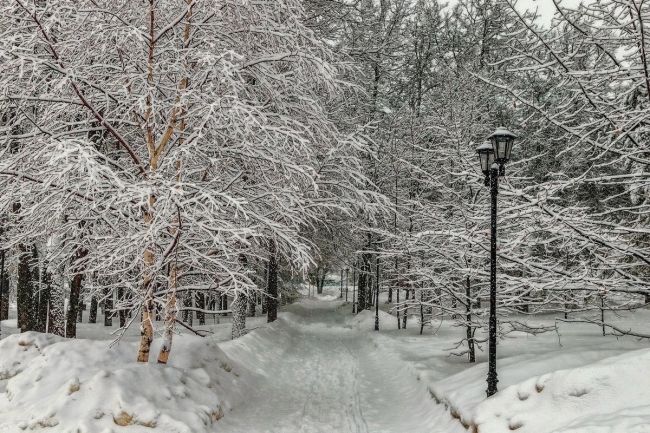 ❄Зима в Подмосковье прогнозируется теплой, температура выше климатической нормы продержится минимум до..