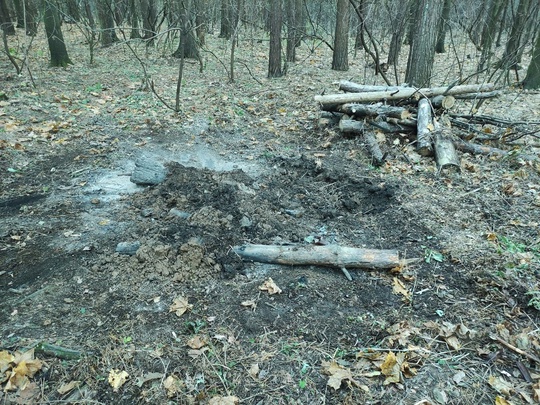 12 неконтролируемых костров сегодня разожгли и ушли из леса в лесопарке "Ёлочки". В итоге пришлось даже..