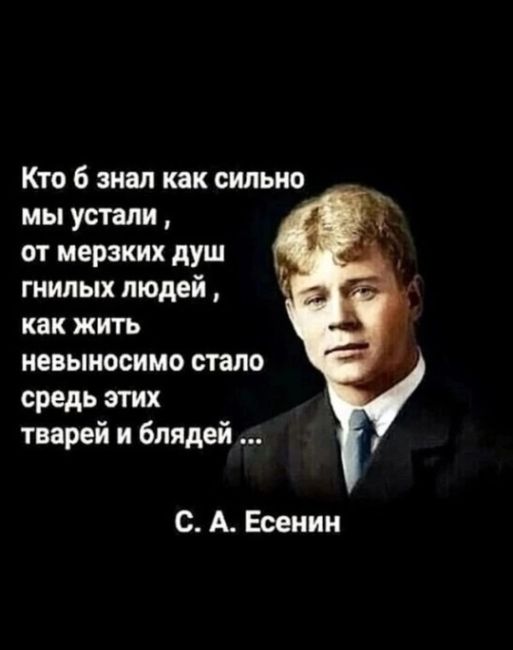 МЧС призвало граждан заранее собрать "тревожный чемоданчик" 👜  Об этом рассказало издание "Pоссийская..