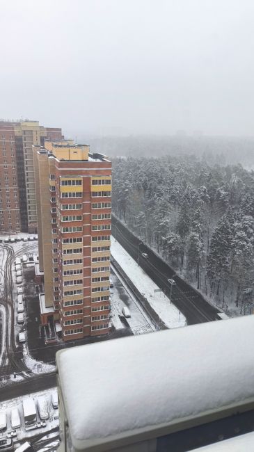 КОГДА ВЫГЛЯНУЛ УТРОМ В ОКНО 😃
Фото участников группы "Балашиха..