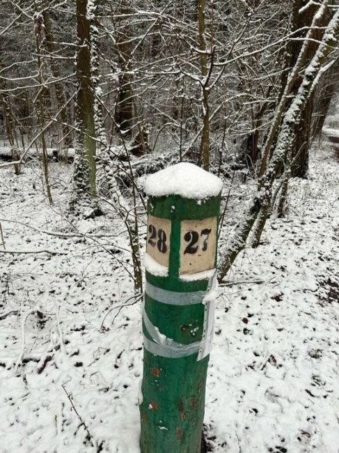 Обнаружена странная машина в нашем лесу.
📍По дороге на..