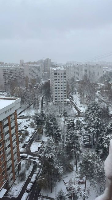 ⛄️Ночью в Зеленограде выпало много снега. Чувствуете приближение Нового..