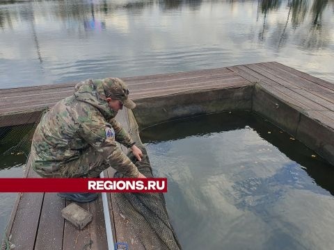 Мытищинские рыбаки открыли сезон форели на Рупасовских прудах  На Рупасовских прудах рыбаки открыли сезон..