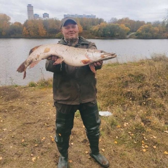 🎣 Вот такой улов из..