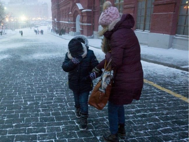 К вечеру Пушкинский округ окажется под воздействием сильного шторма с ветром в пять баллов и снегом с..