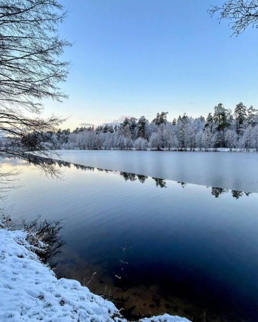 Зимние картины ноября!❄ 
📍Булганинское Озеро 
📸 Марина..