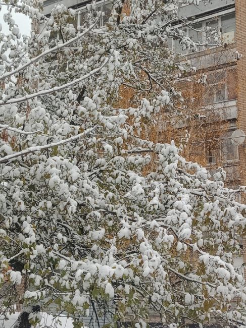 Зимняя сказка, начало... ⛄️
📸Алина..