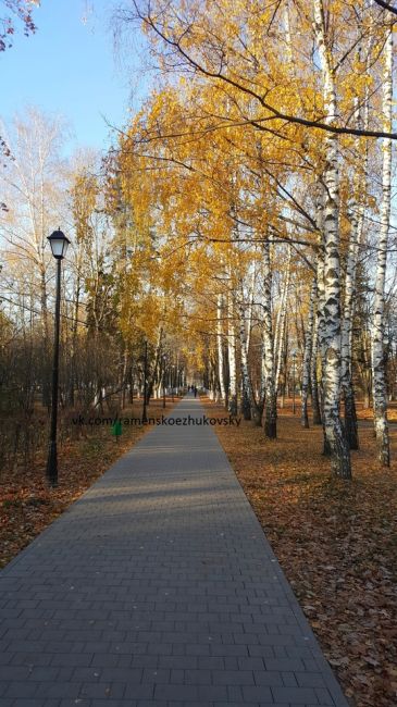 Доброе утро любимый город! ☕🍁  город..