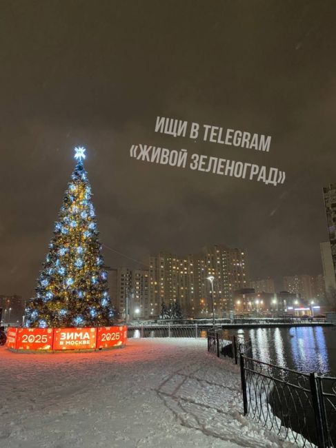 🎄На Михайловском пруду установили новогоднюю ель.  К началу праздников в городе разместили 28 праздничных..