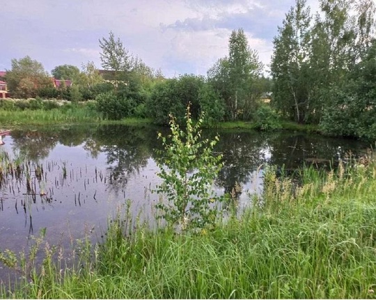 Суд изъял земли у нарушителей в Щелково. 
Щелковский городской суд, с участием Минэкологии Подмосковья,..