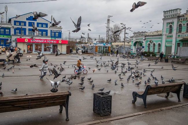 В Голицыно может появиться подземный переход через ж/д пути 🚶‍♂  Как сообщает пресс-служба администрации..