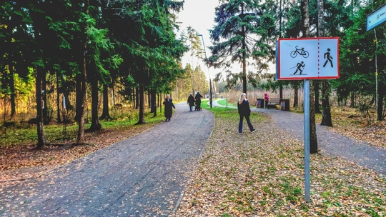 Осенняя прогулка по Ольгинскому лесопарку от мкр. Ольгино до мкр. Павлино.
📸 [id707425183|Анатолий..