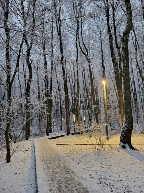 ЗИМА ВСË БЛИЖЕ ☃
📸 Оксана
Поделюсь нашей красотой. Парк..