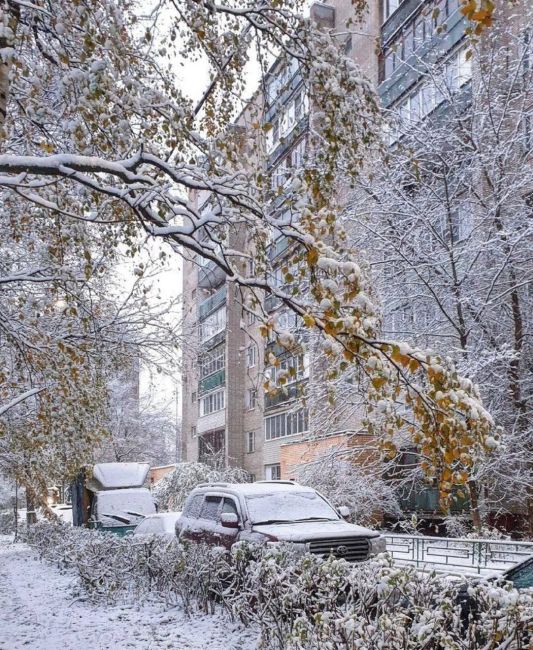 Зима продержится в Московском регионе до середины недели, затем потеплеет, к выходным воздух прогреется до..