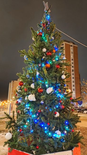 Елочка в мкр. Авиаторов 🎄
📸[id846461362|Daria..