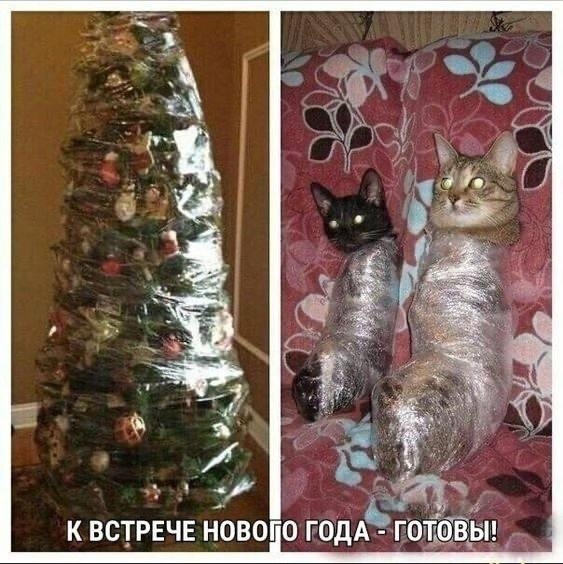 Давайте устроим парад елок🎄  Присылайте ваших красавиц в..