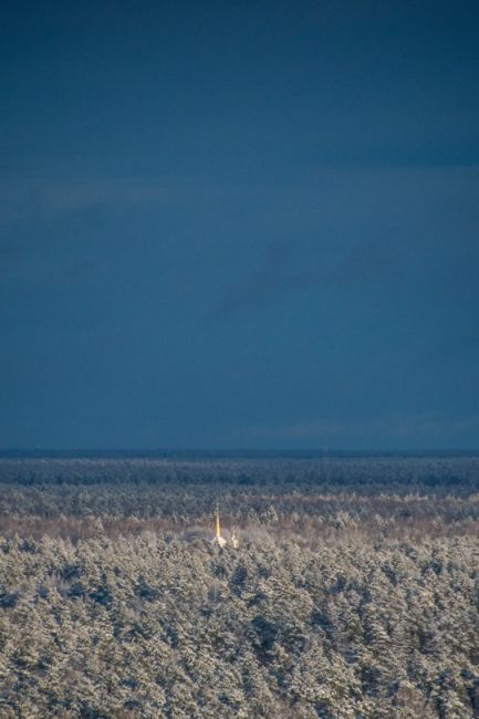 БАЛАШИХА ПРЕДНОВОГОДНЯЯ
Фото Ильмира..