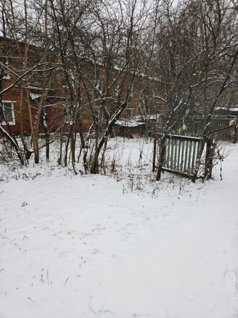 Здравствуйте! Подскажите может кто-нибудь в курсе по поводу сноса зданий по реновации на улице Северная. Не..