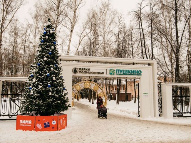 Новогодние украшения улиц и площадей в Пушкинском округе завершены.  Фото: t.me/Krasnotsvetov_MV 
Автор: Максим..