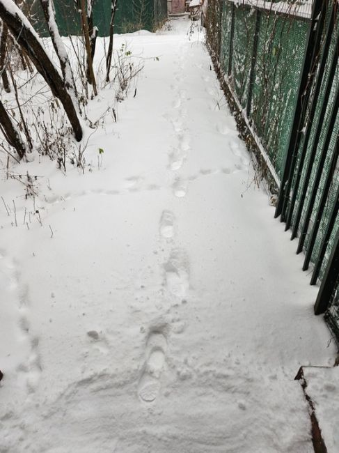 Здравствуйте! Подскажите может кто-нибудь в курсе по поводу сноса зданий по реновации на улице Северная. Не..