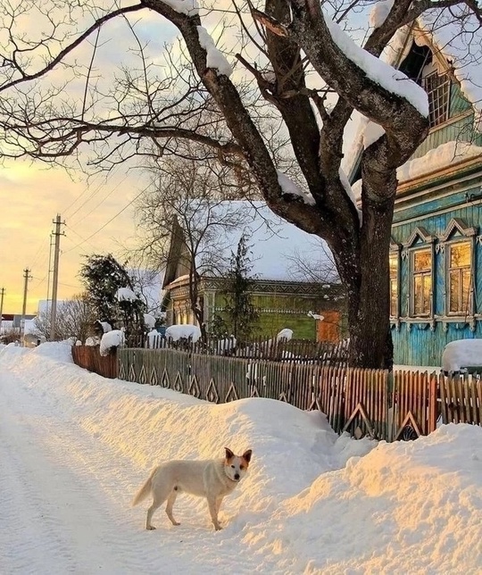 Зима, ты - ребенок, приехавший к бабушке в деревню. Какие тёплые воспоминания, несмотря на студеную зиму..