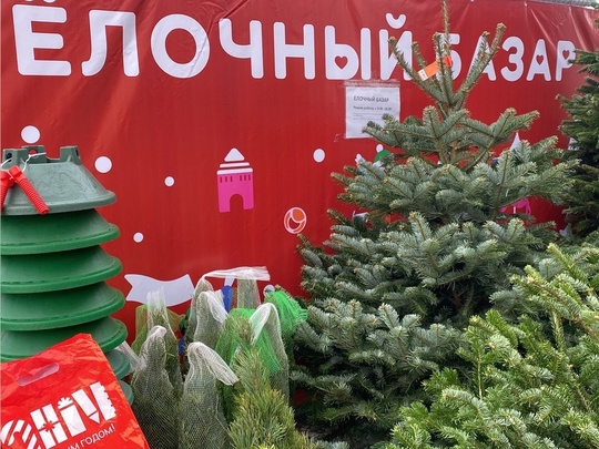 🎄С ароматом хвои: четыре елочных базара будут работать в Балашихе в этом году.  Адреса:
🌲шоссе Энтузиастов,..