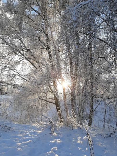 БАЛАШИХА ПРЕДНОВОГОДНЯЯ
Фото Ильмира..