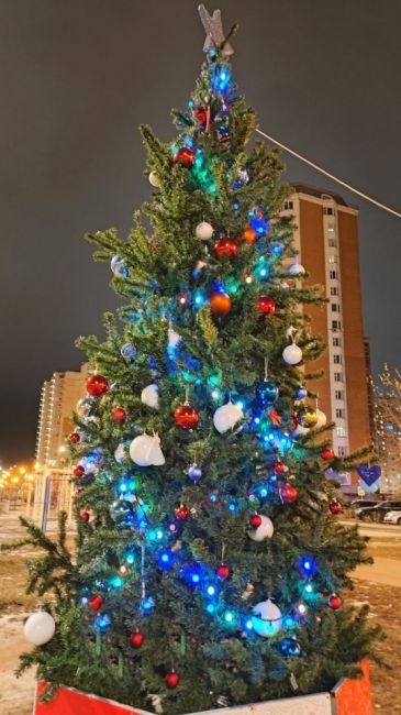 СПАСИБО ЗА КРАСОТУ 🎄
В микрорайоне Авиаторов наконец-то поставили елочку и она просто шикарная!..