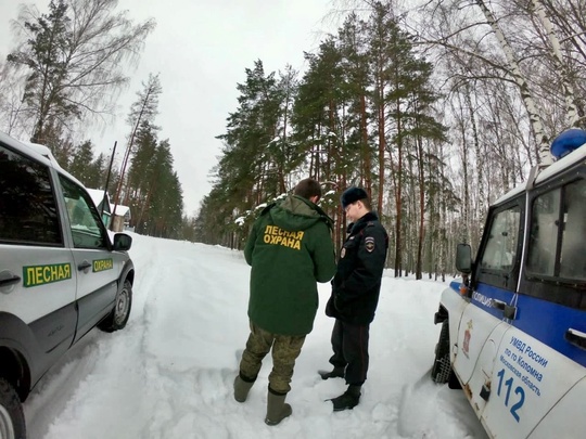 🌲🌲 В коломенских и озерских лесах продолжается операция «Ёлочка-2024»  Сотрудники Ступинского филиала ГКУ..