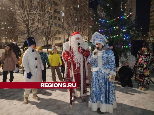 В этом году в одном из дворов на улице Юбилейная в микрорайоне Подольские просторы впервые установили живую..