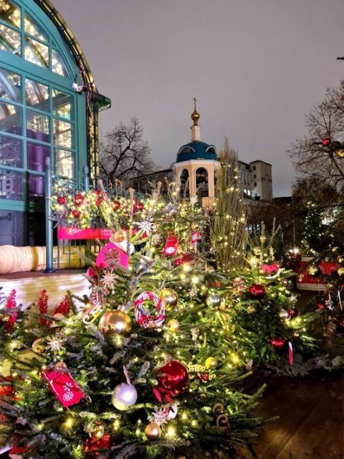 🎄Новогодняя сказка на Тверской..