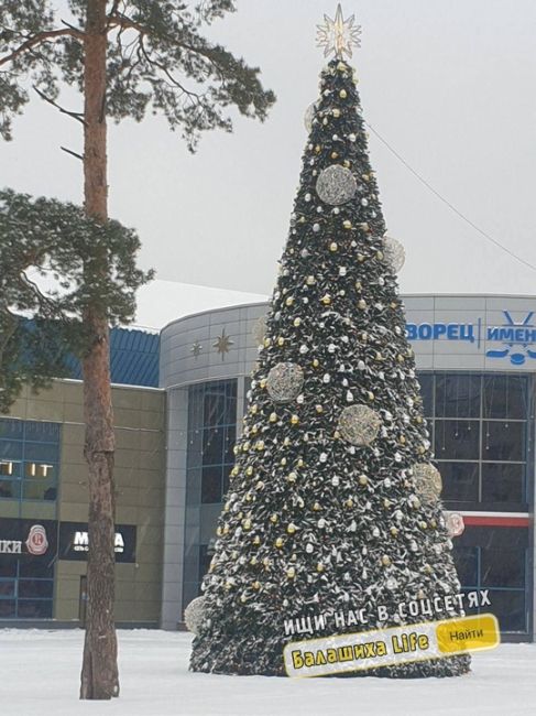 ДЕТИ ПОРТЯТ УКРАШЕНИЯ ГОРОДА!
Дети в Балашихе уже совсем потеряли совесть! Вчера днём в Пехорке девочка..