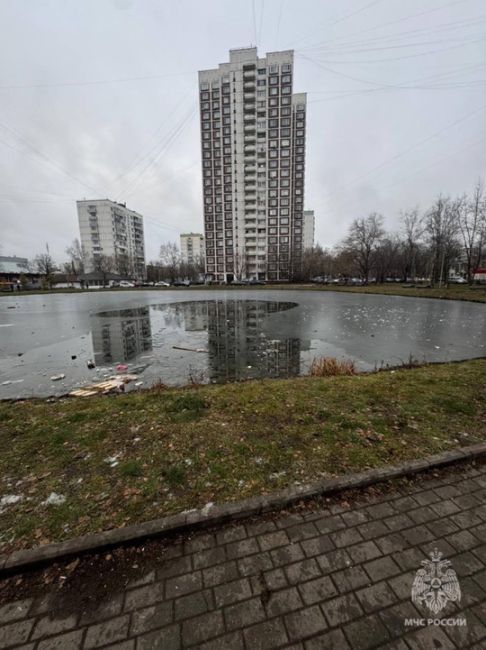 Два человека провалились под лед на востоке Москвы.  Провалившихся заметили очевидцы, они вызвали..